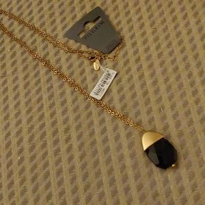 🚩Pilgrim Black onyx style stone on goldish chain